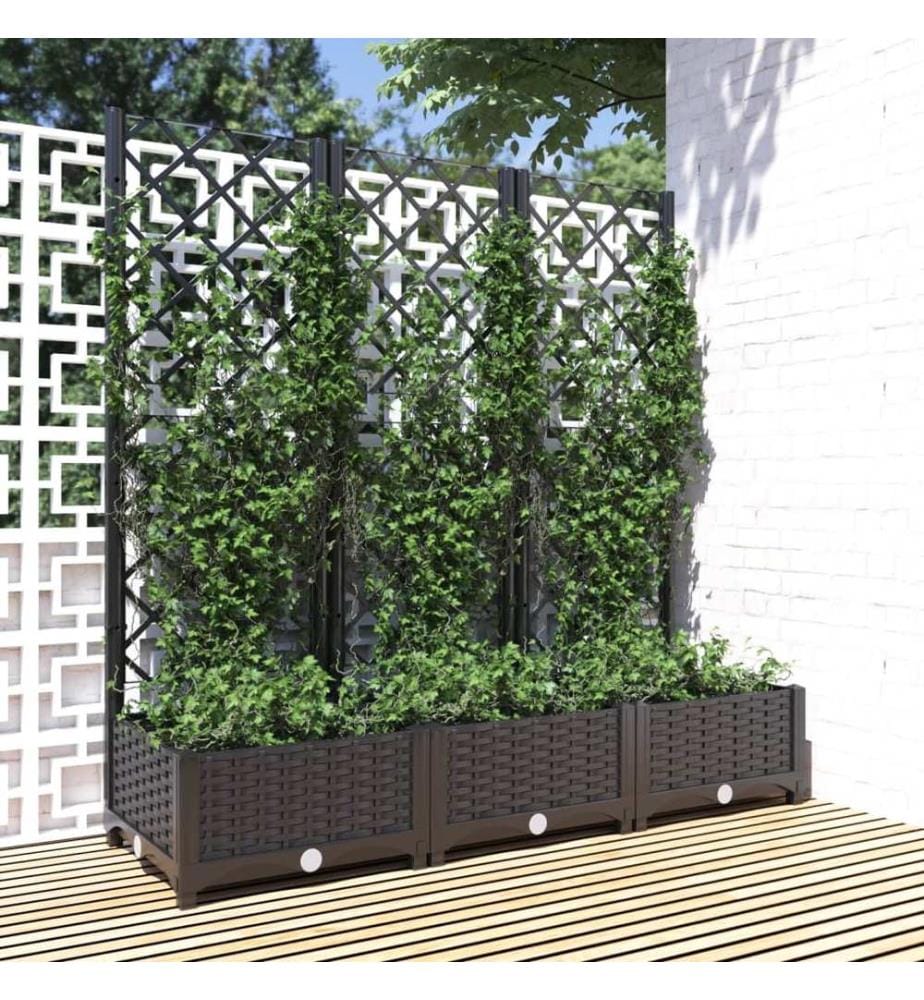Garten-Pflanzgefäss mit Spalier Schwarz 120 x 40 x 121,5 cm PP