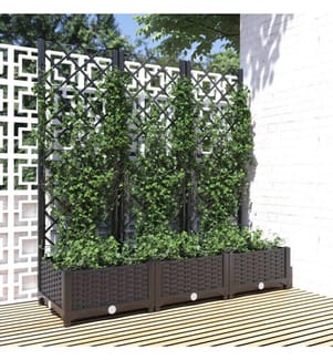 Garten-Pflanzgefäss mit Spalier Schwarz 120 x 40 x 121,5 cm PP