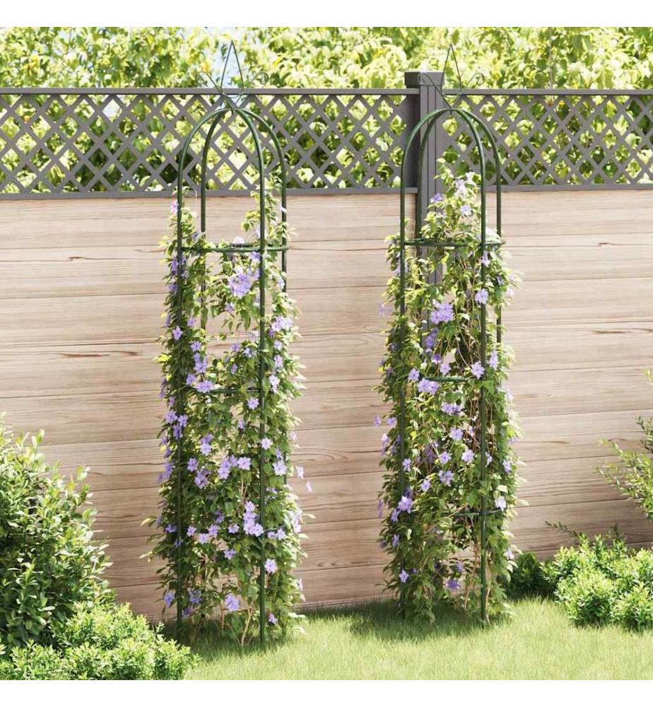 Garten-Ranktürme 2 Stk.