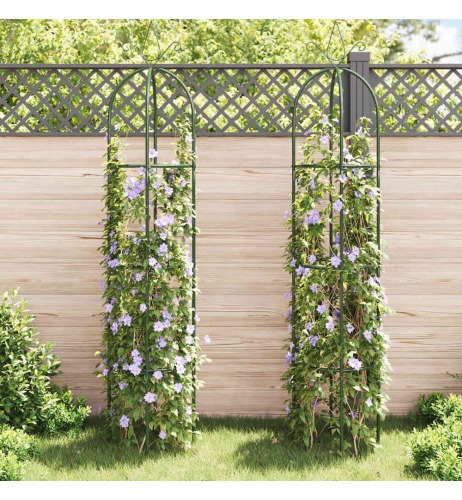 Garten-Ranktürme 2 Stk.