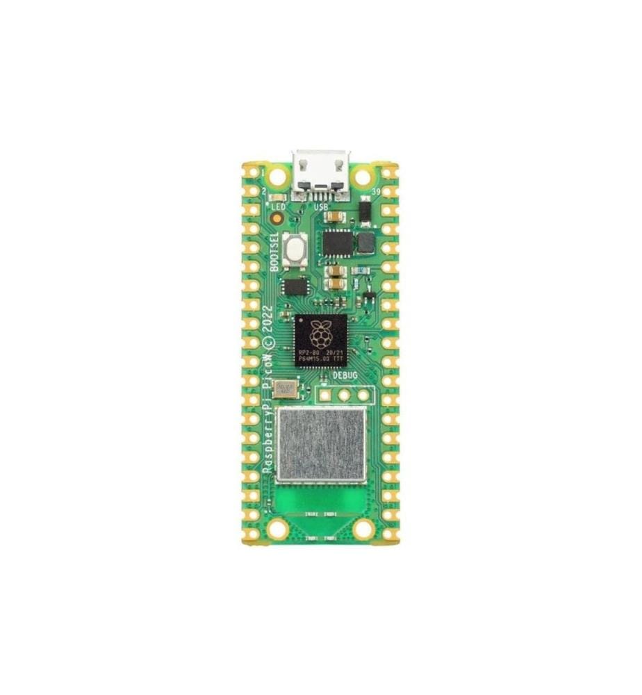 Raspberry Pi - Carte de développement Pico W
