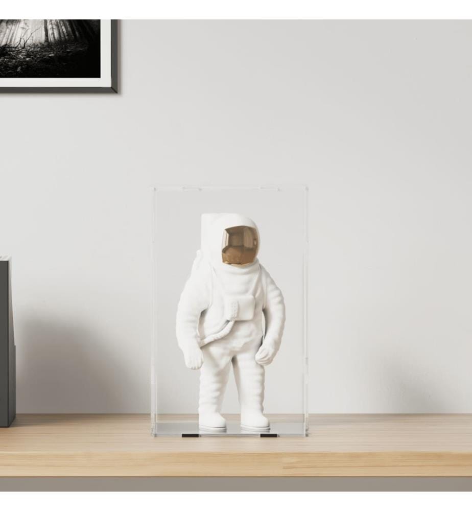 Displaybox Transparent 22x18x35 cm Acryl
