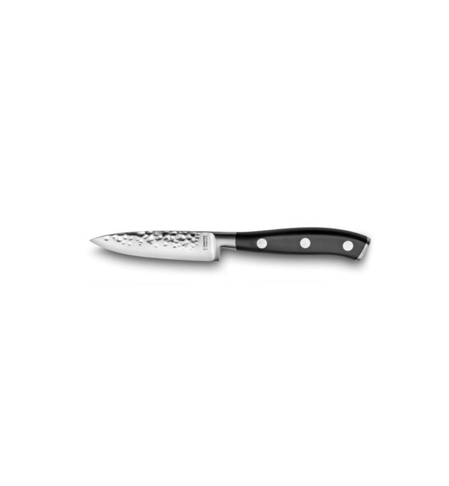 Set di 4 coltelli da cucina in carbonio