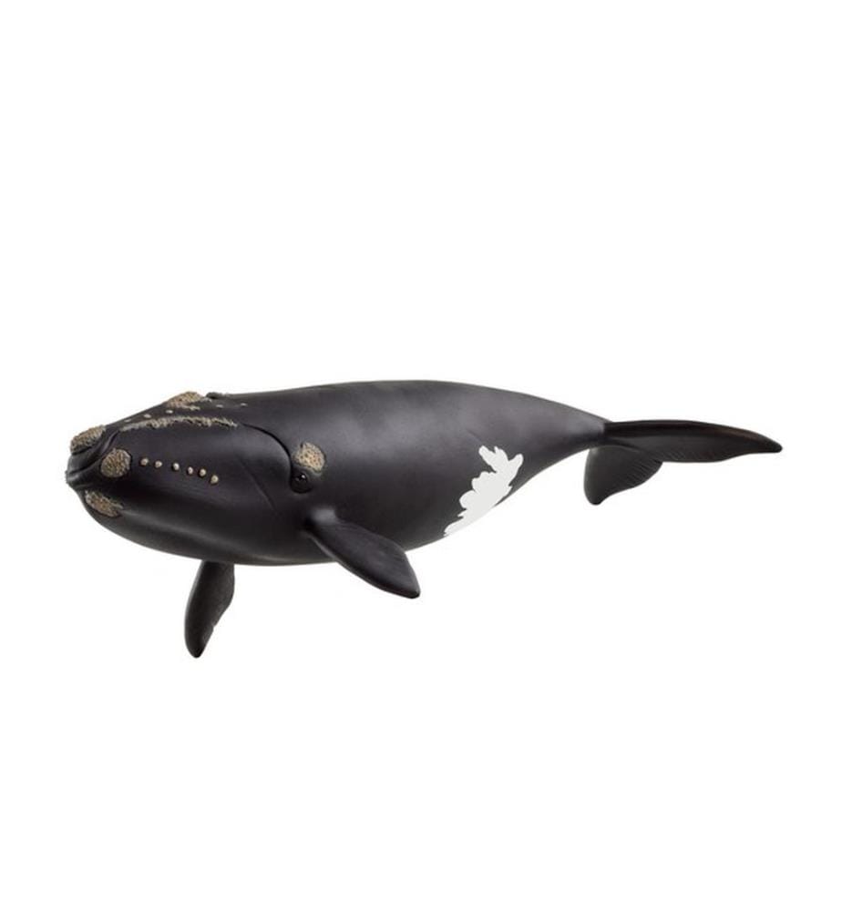 14878 - Sammelfigur Nordatlantischer Glattwal