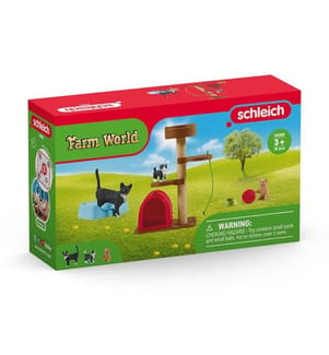 42501 - Spass für süsse Katzen