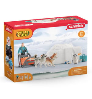 42558 - Wild Life Expedition in die Antarktis