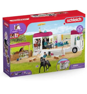42619 - Camping-Car Reiten, 68x60x38cm