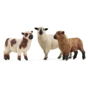 42660 - Trio von Schafen