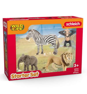 42721 - Wild Life Grundausstattung Afrika 4-teilig