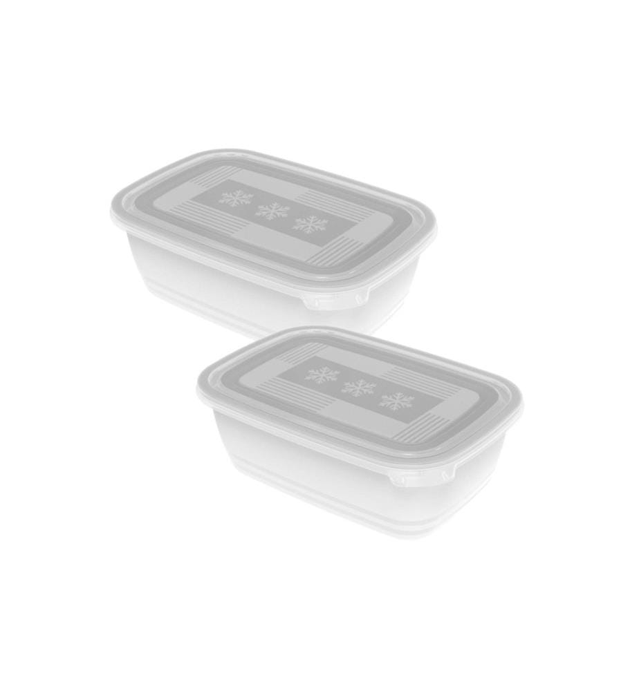 ROTHO - Récipients à provisions Freeze 2 pièces, 1.9 l, Transparent