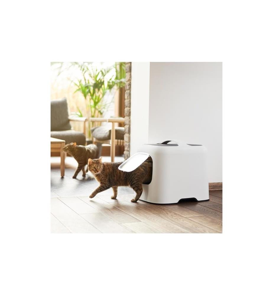 ROTHO - Litière pour chats Biala, Mistletoe blanc