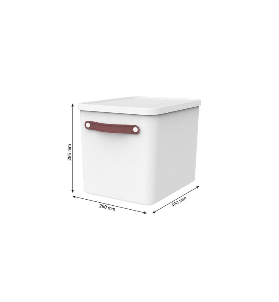 ROTHO - Set Inbox + Archivbox MY PAPER Plus