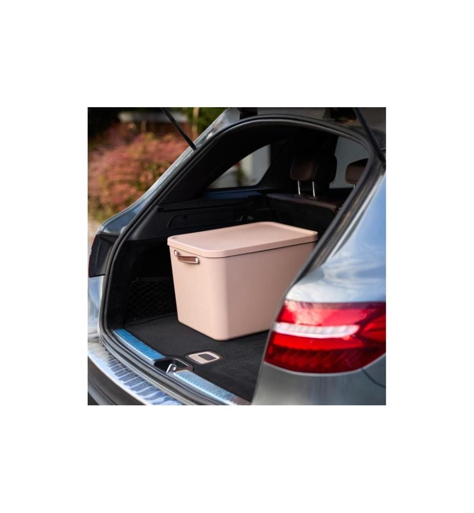 Boîte de rangement Rotho MALOJA 55 l, Rose, 2 pièces