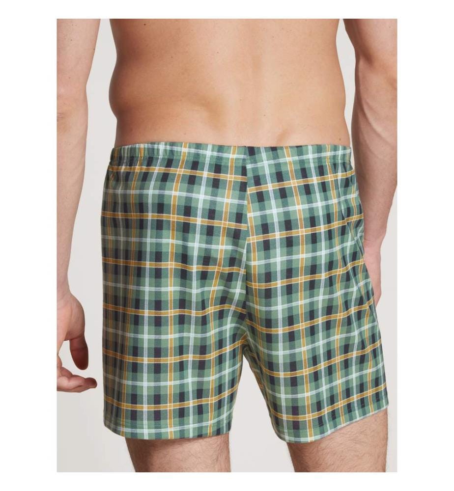 Boxer - Laurel Green