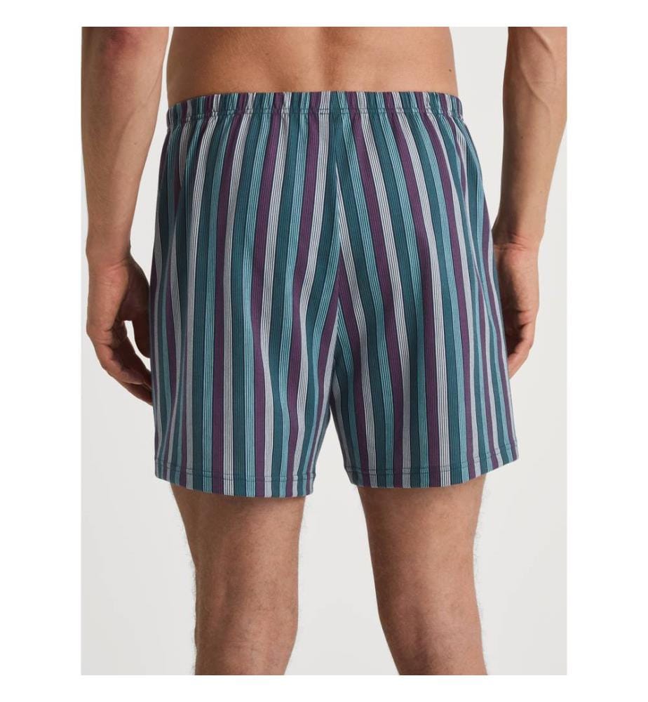 Boxer - Shadow Blue