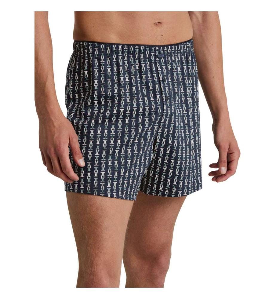 Boxer - Blue Lily
