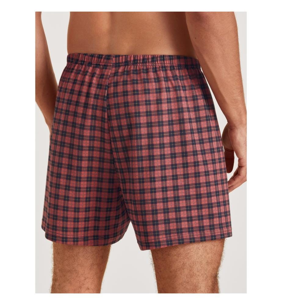 Boxer - Rosso minerale
