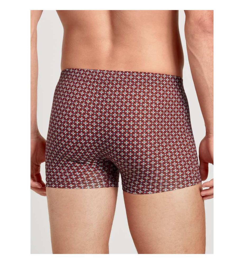 Boxer - Redwood