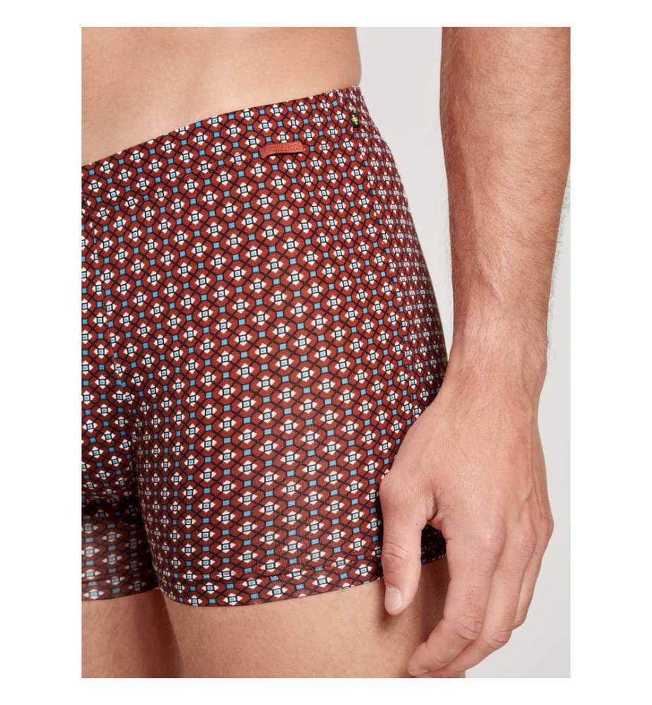 Boxer - Redwood