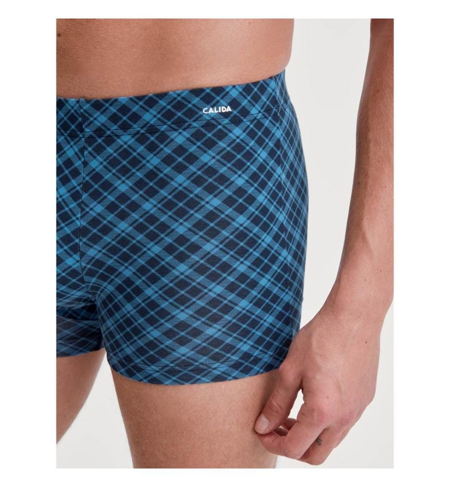 Boxer - Nordic