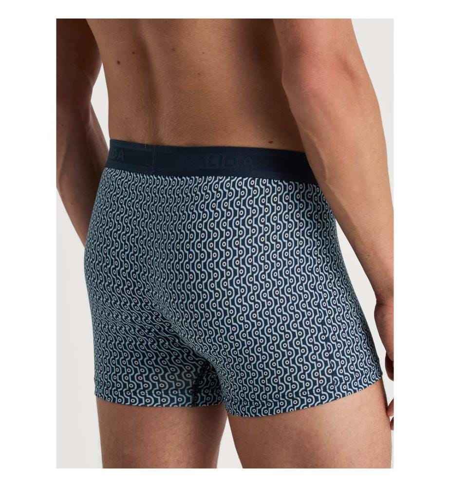 Boxer - Zaffiro scuro