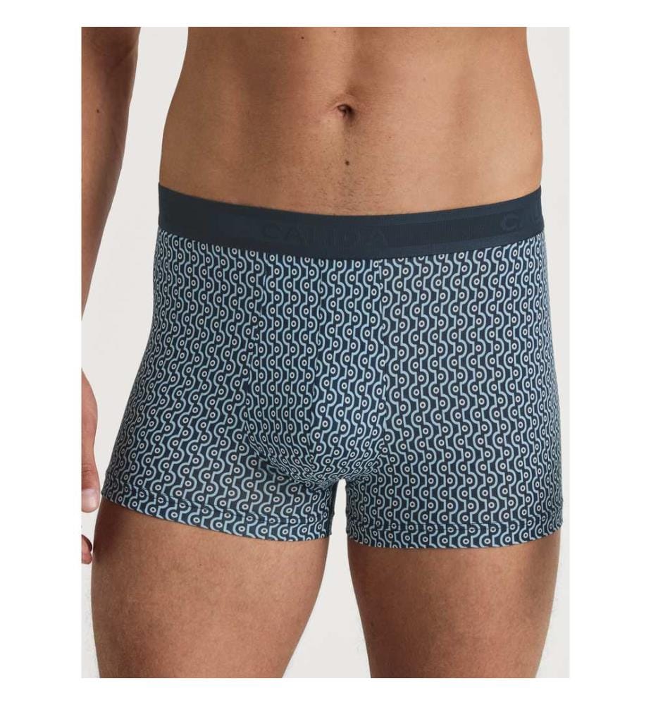 Boxer - Zaffiro scuro
