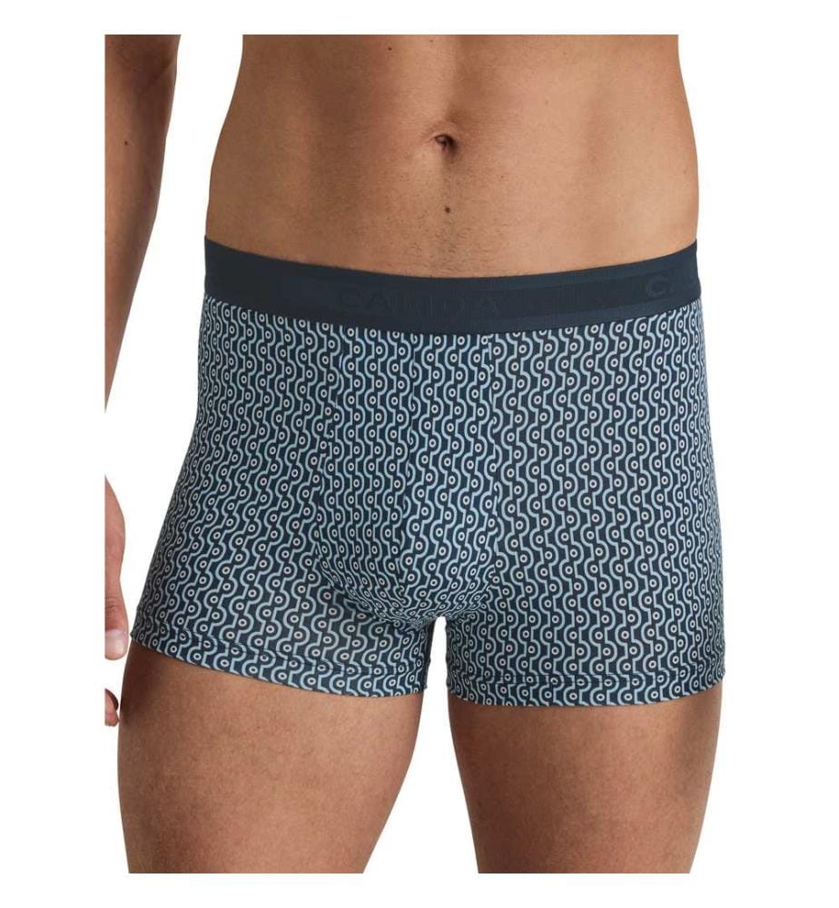 Boxer - Zaffiro scuro