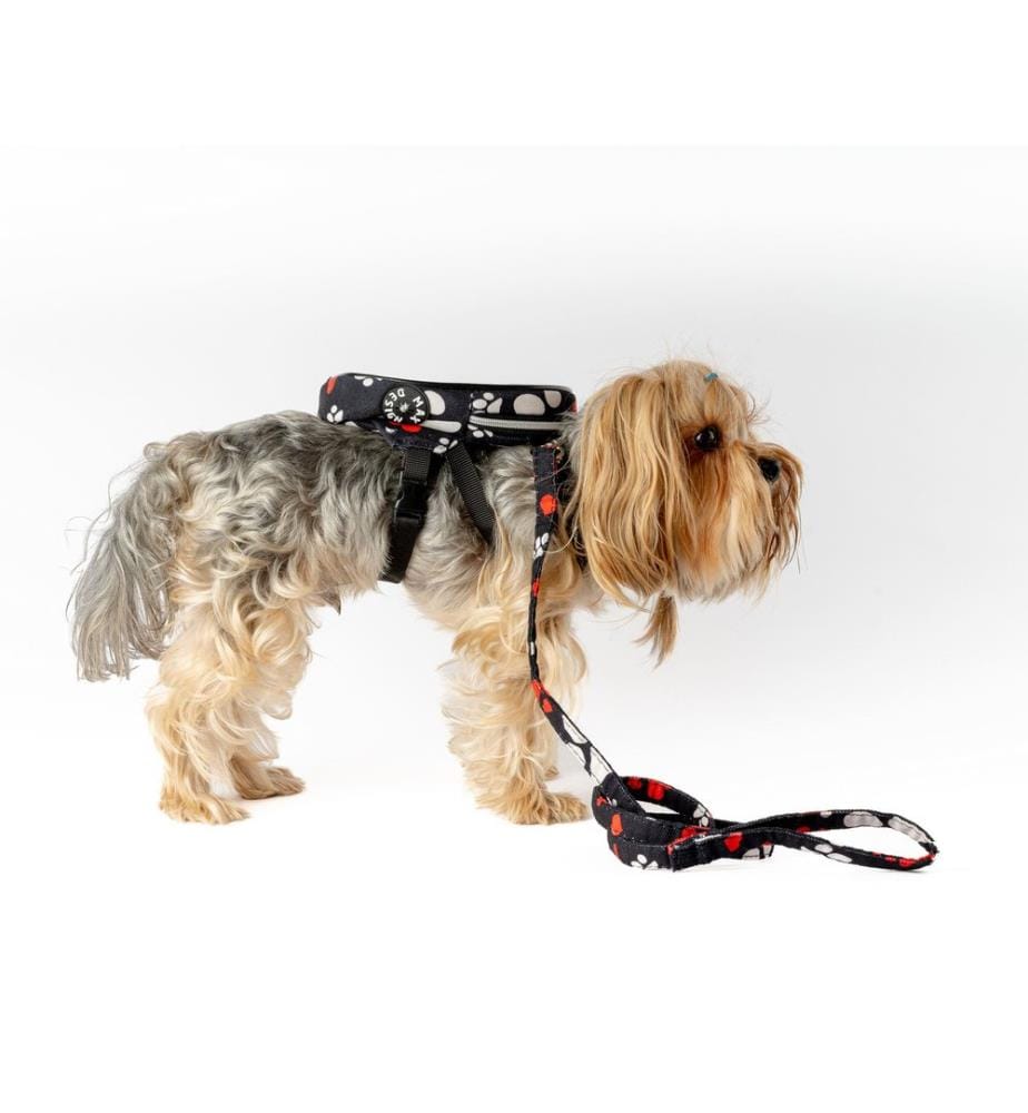 Sac à dos pour chien noir 100 % tissu alvéolé