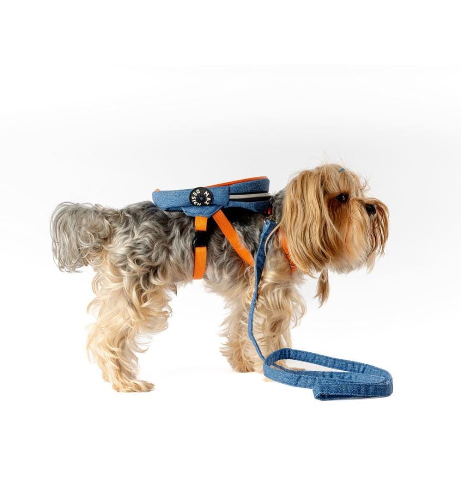 Sac à dos pour chien bleu 100 % tissu alvéolé