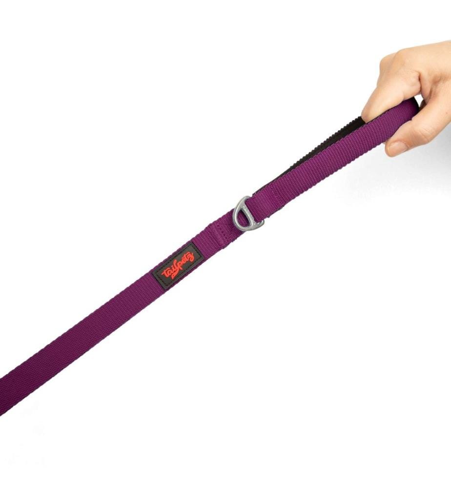 Laisse pour chien violette 100 % polyester
