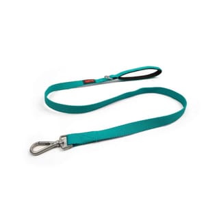 Laisse pour chien émeraude 100 % polyester