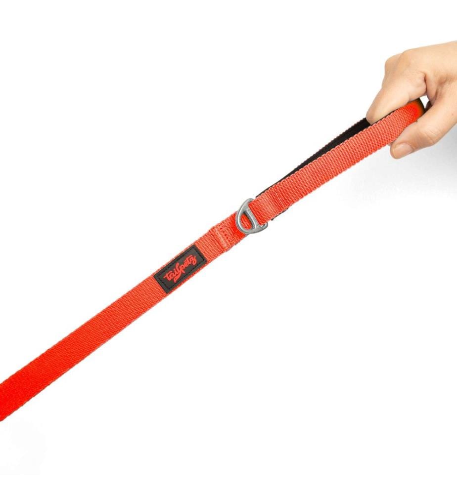 Laisse pour chien orange fluo 100 % polyester