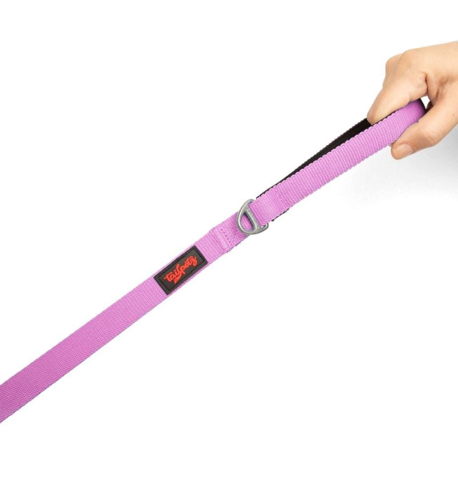 Laisse pour chien lilas 100 % polyester