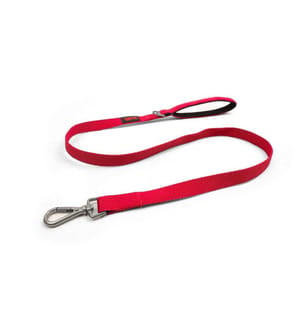 Laisse pour chien grenat 100 % polyester