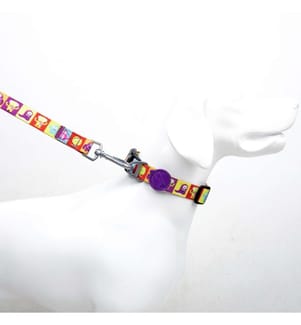 Laisse pour chien multicolore 100 % polyester
