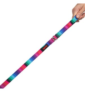 Laisse pour chien multicolore 100 % polyester