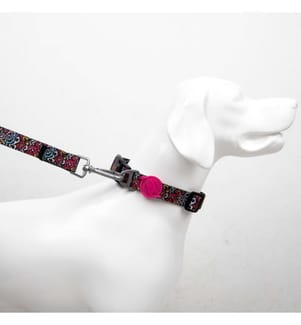 Laisse pour chien multicolore 100 % polyester