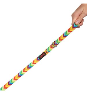 Laisse pour chien multicolore 100 % polyester