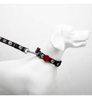 Dog Leash Multicolor 100% POLYESTER