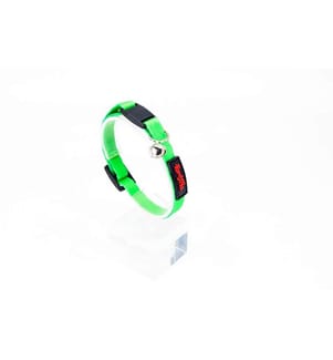 Collier pour chat vert 100 % polyester