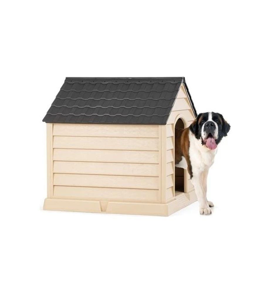 Maison pour animaux Champagne Amer 100% PLASTIQUE