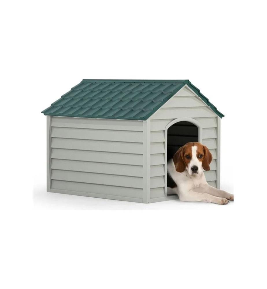 Maison pour animaux grise et verte 100 % plastique