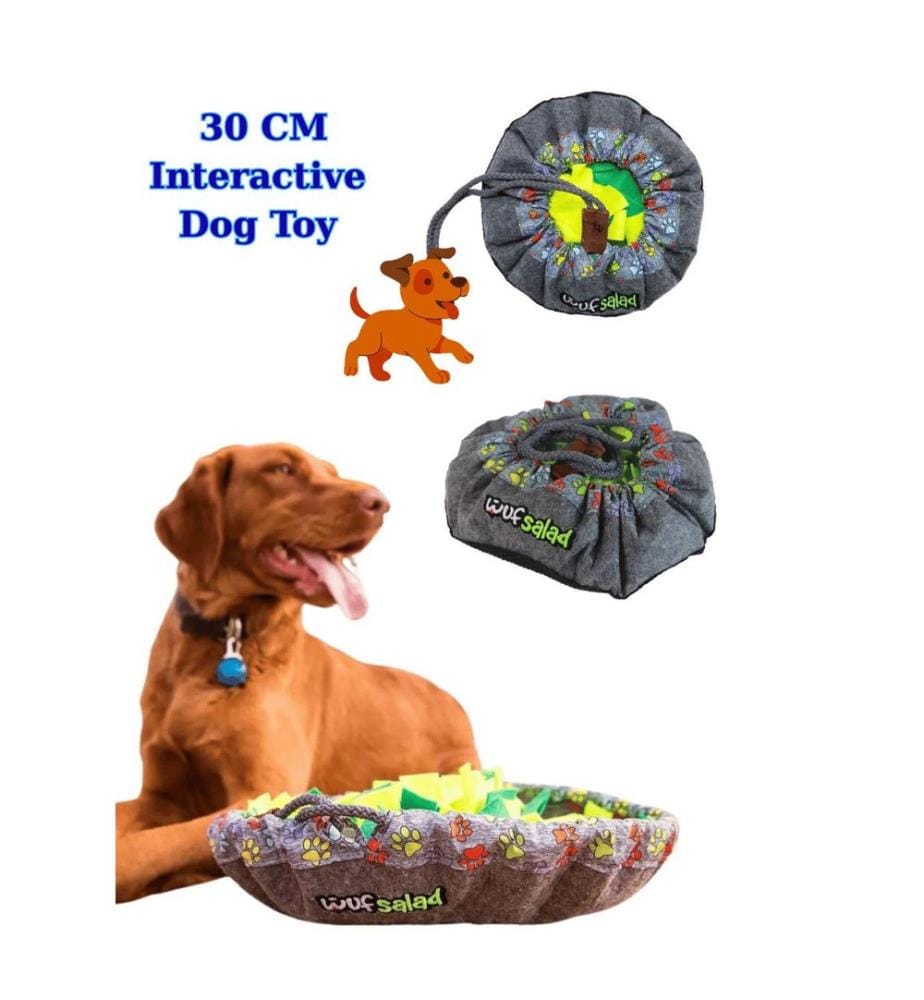 Jouet pour chien vert jaune gris en feutre/polyester
