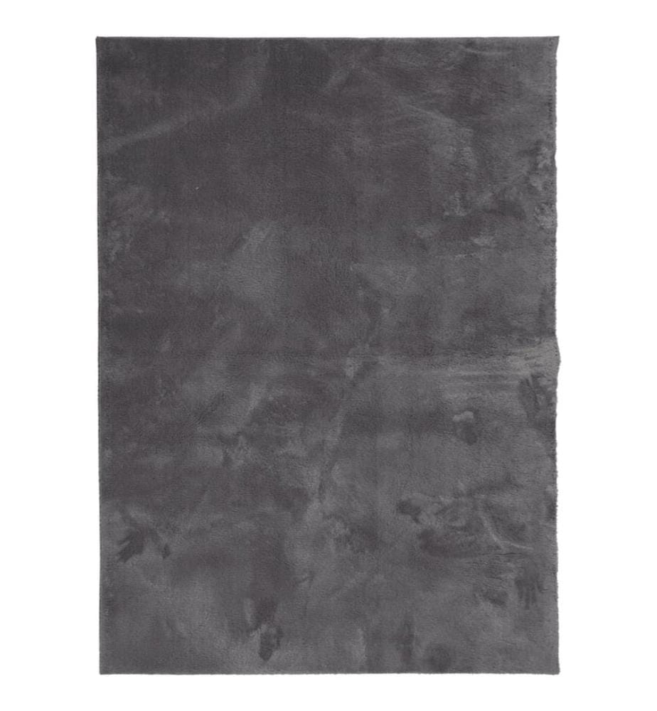 Tapis à poils courts doux et lavable anthracite 160x230 cm