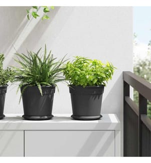 Pots de plantes 6 pcs Noir Ø 19 x 16 cm Plastique