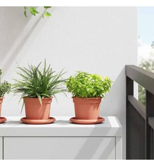 Pots de plantes 24 pcs Rouge brique Ø 12,5 x 10 cm Plastique