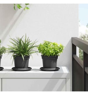 Pots de plantes 24 pcs Noir Ø 12,5 x 10 cm Plastique