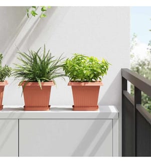Pots de plantes 6 pcs Rouge brique 20 x 20 x 16 cm Plastique