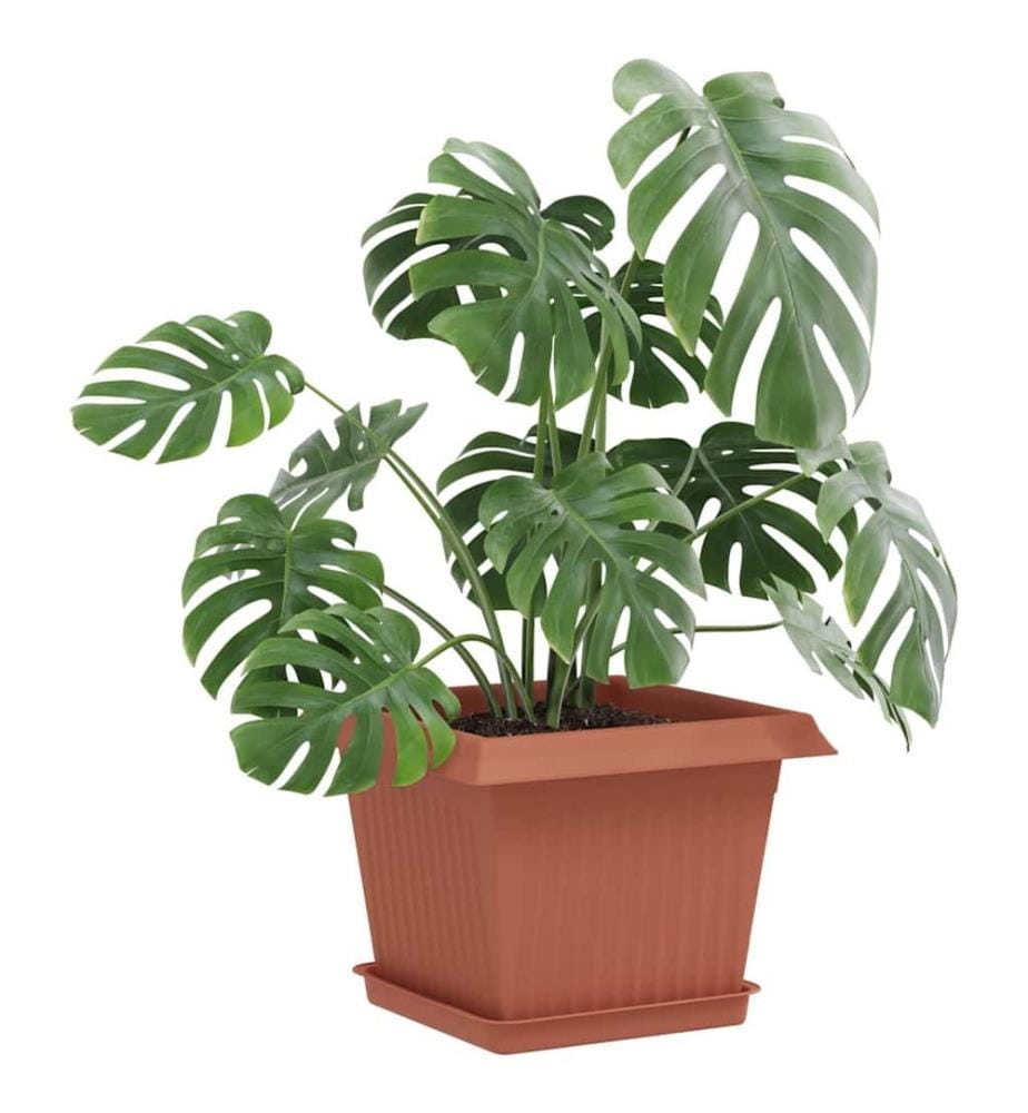 Flower Pots, 6-piece set, Brick Red, 23 x 23 x 17.5 cm, Plastic