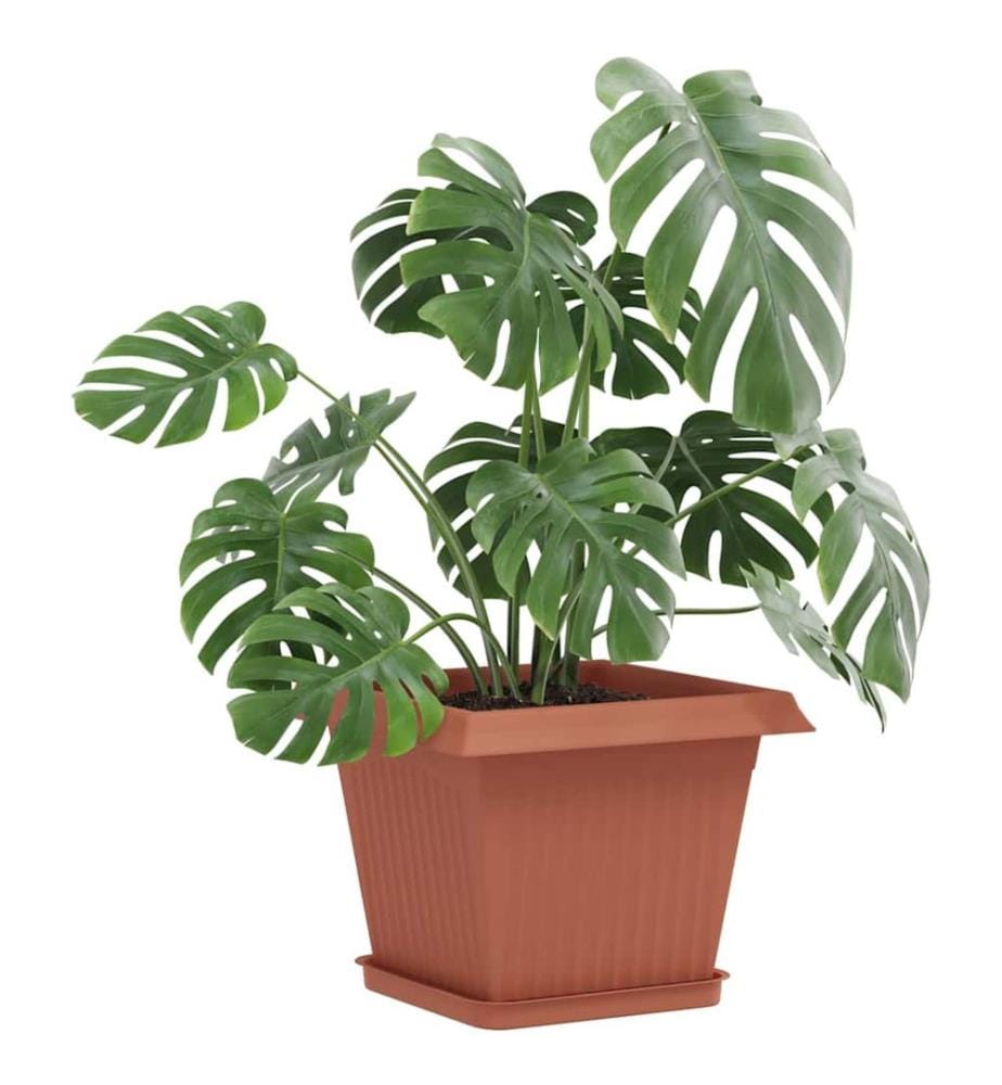 Flower Pots, Set of 6, Brick Red, 28.5 x 28.5 x 22 cm, Plastic